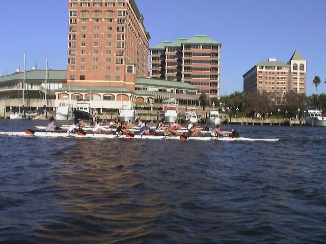 A group of people swimming in a body of water