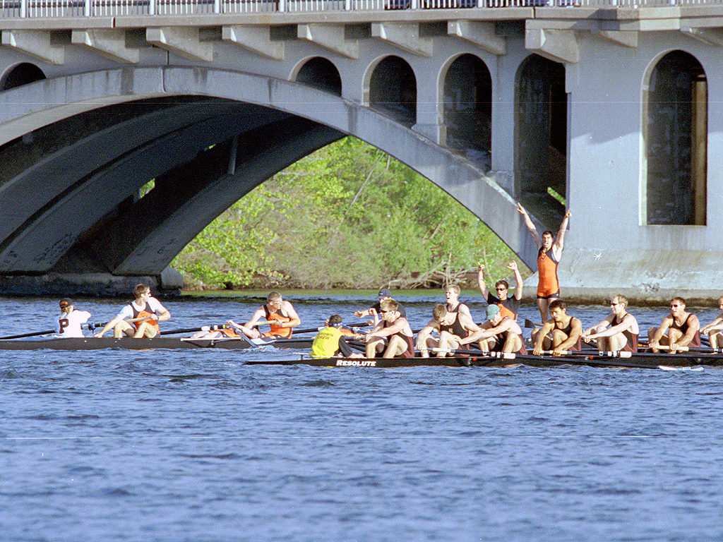 A flock of seagulls standing on a bridge over a body of water