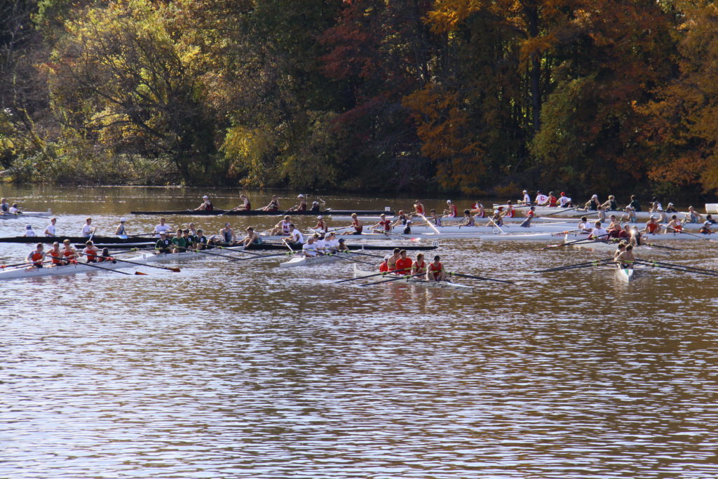 A flock of seagulls are swimming in a body of water